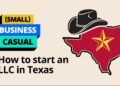 How To Begin An LLC In McKinney TX? How To Begin An LLC In McKinney TX?